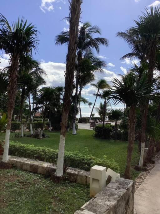 Oceanview & Beach Access 3805 Cancún Exteriör bild